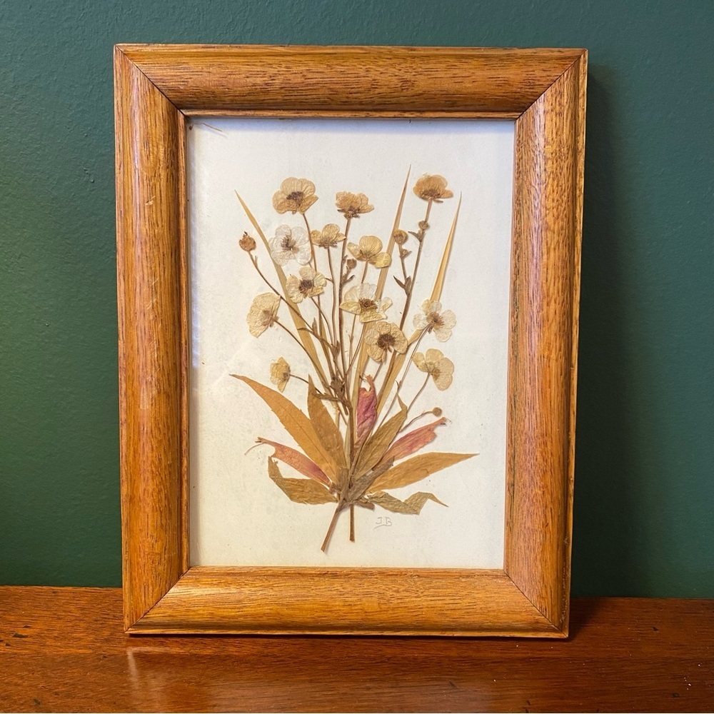 Vintage framed pressed flowers‎